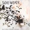 Soilwork - Natural Born Chaos (2002)