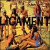 Ligament - Halfway Between San Juan And Mendoza (1999)