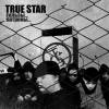 True Star - Гильзы... Патроны... (2009)