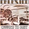 Calexico - Carried To Dust (2008)