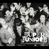 Super Junior - 3집 - SORRY, SORRY