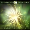 Lunar Sound - Electric Plants (2005)