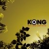 Kong - What It Seems Is What You Get (2009)