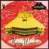 Homelife - Flying Wonders (2002)