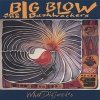 Big Blow & The Bushwhackers - What Didgeridoo (1994)