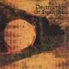 65daysofstatic - The Destruction Of Small Ideas (2007)