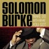 Solomon Burke - Make Do With What You Got (2005)