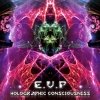 EVP - Holographic Conciousness (2008)