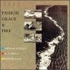 Al Di Meola - Passion, Grace & Fire (2001)