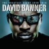 David Banner - The Greatest Story Ever Told (2008)