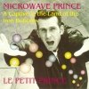 Microwave Prince - A Captive In The Land Of The Iron Bubbles (1995)