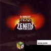 Tapolsky - Zenith (2005)
