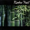 Bamboo Forest - Bamboo Forest (2003)