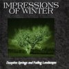 IMPRESSIONS OF WINTER - Deceptive Springs And Fading Landscapes (1998)