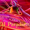 DJ Paradizze 2011 - DJ Paradizze 2011 (2011)