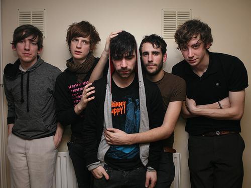 Foals