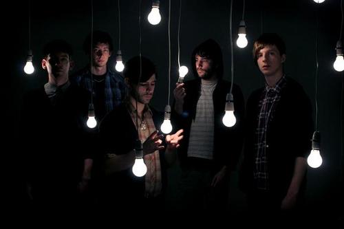 Foals