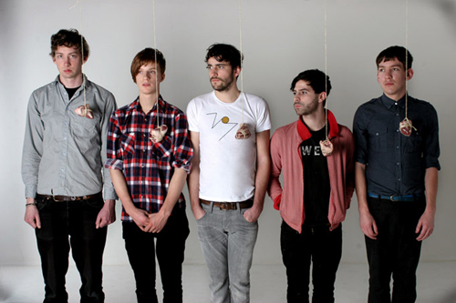 Foals