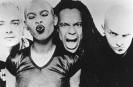 Skunk Anansie