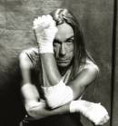 Iggy Pop