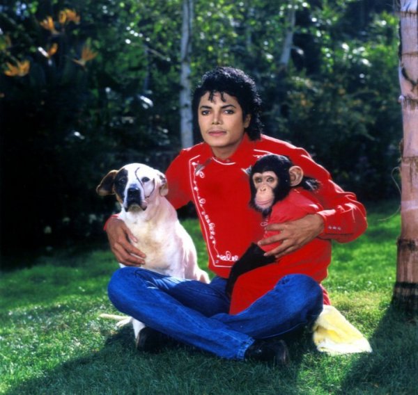 Michael Jackson