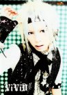 Vivid