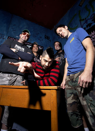 Zebrahead