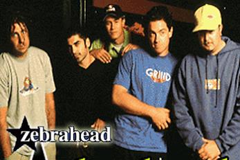 Zebrahead