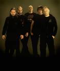 Scar Symmetry