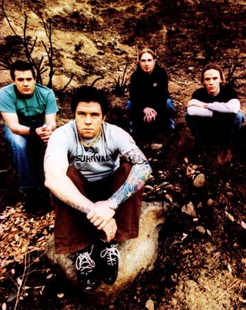 12 stones