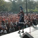 Buckshot
