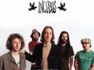 Incubus