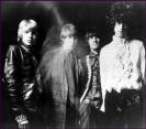 THE YARDBIRDS