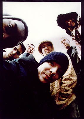 The Herbaliser