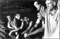 Midnight Oil