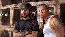 Calle 13