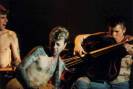 Stray Cats