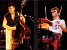 Stray Cats