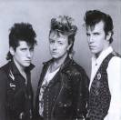 Stray Cats