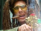 Freq Nasty
