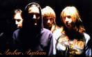 Amber Asylum