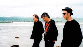 The Necks