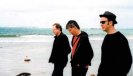 The Necks