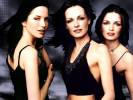 The Corrs