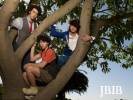 Jonas Brothers