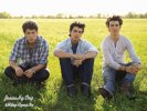 Jonas Brothers