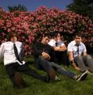 Bayside