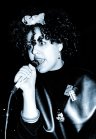 Poly Styrene