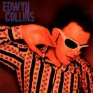 Edwyn Collins