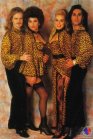Army Of Lovers